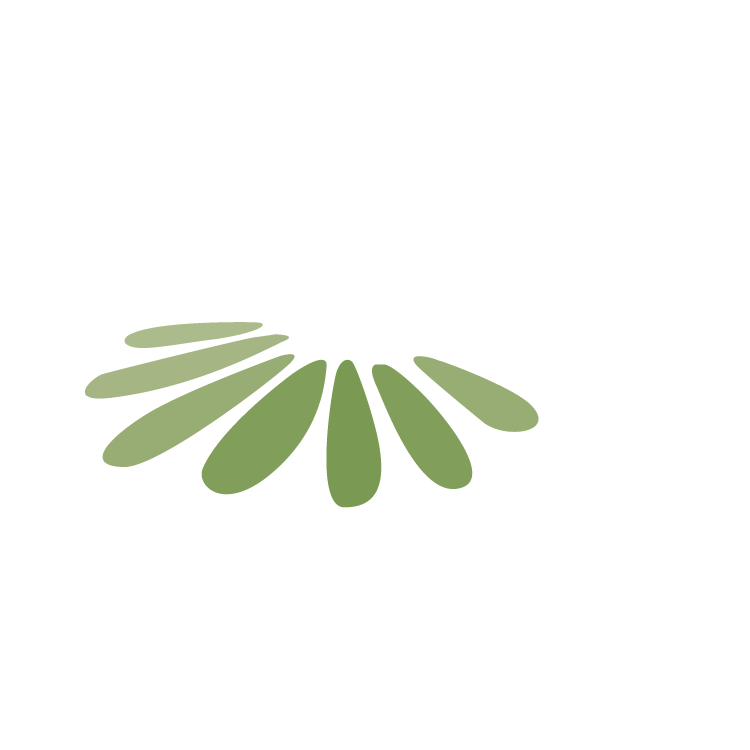 Solstrålens logo.
